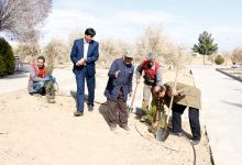 گزارش تصویری از آئیین درختکاری و تقدیر ازهمکاران فضای سبز دانشگاه